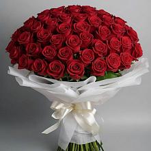 Букет 101 Красная роза Блэк Мэджик в Новоселицах