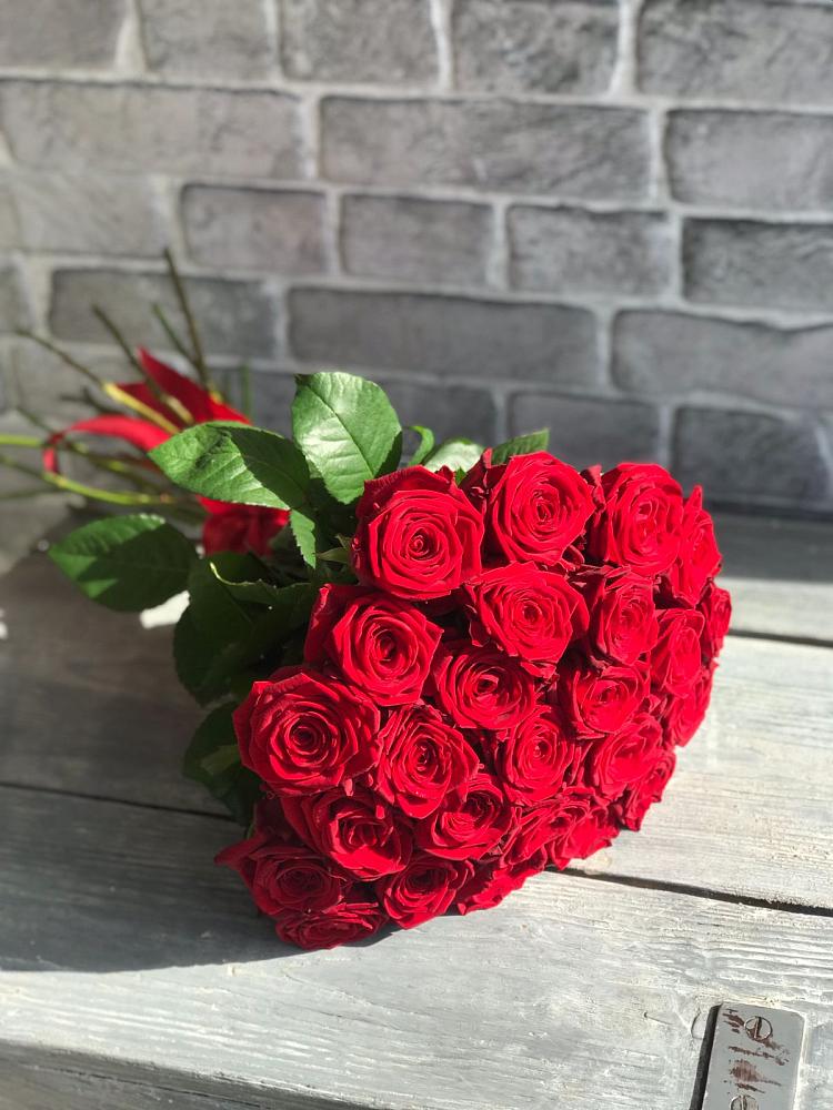 Букет Красные розы Фридом в Новоселицах