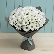 Букет цветов из:  Хризантемы #REPLACE_PRED# Новоселицах