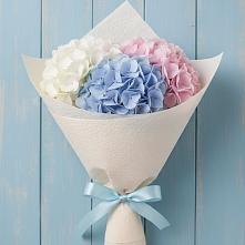 Букет цветов из:  Гортензия в Новоселицах