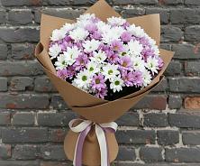 Букет цветов из:  Хризантемы #REPLACE_PRED# Новоселицах