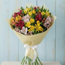 Букет цветов из:  Альстромерии #REPLACE_PRED# Новоселицах