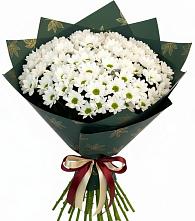 Букет цветов из:  Хризантемы #REPLACE_PRED# Новоселицах