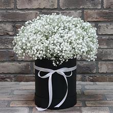 Цветочная композиция из Гипсофила в шляпной коробке в Новоселицах