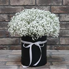 Цветочная композиция из Гипсофила в шляпной коробке в Новоселицах