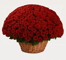 Премиум букет из: Розы в Новоселицах