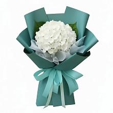 Букет цветов из:  Гортензия #REPLACE_PRED# Новоселицах